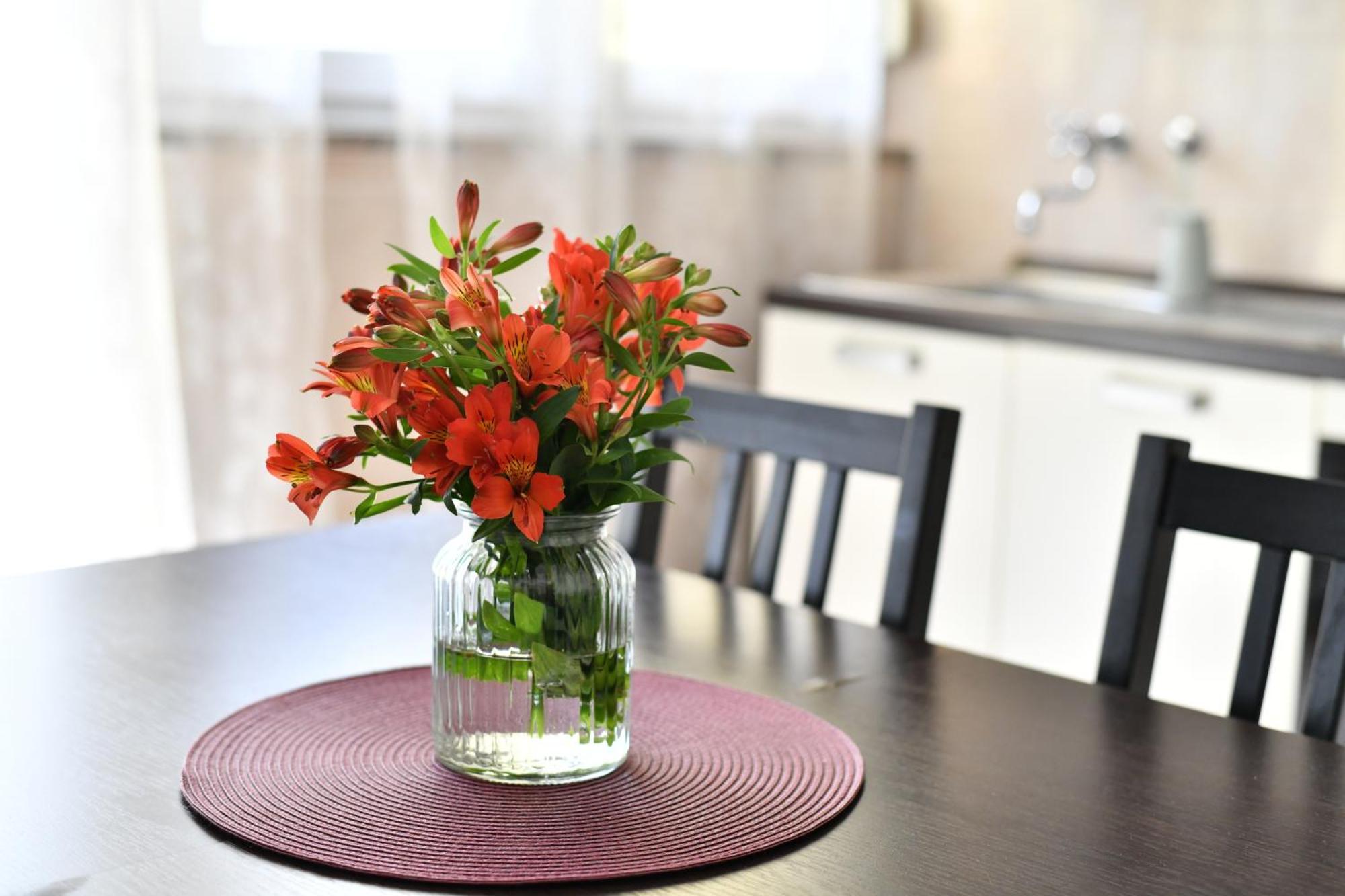 Cozy 16A Apartment ซาดาร์ ภายนอก รูปภาพ