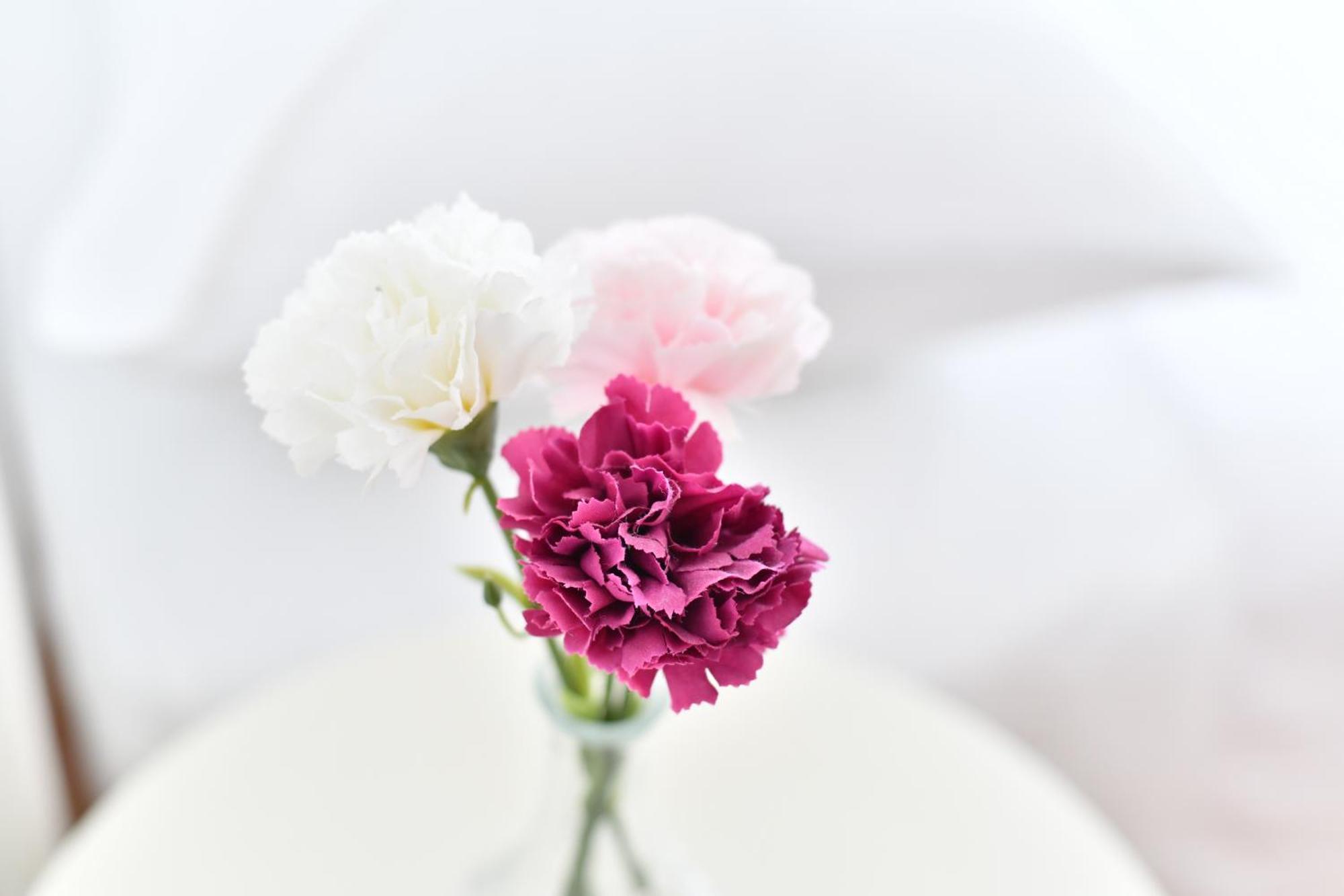 Cozy 16A Apartment ซาดาร์ ภายนอก รูปภาพ